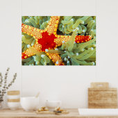 Poster Étoile de mer rouge et jaune (Cuisine)