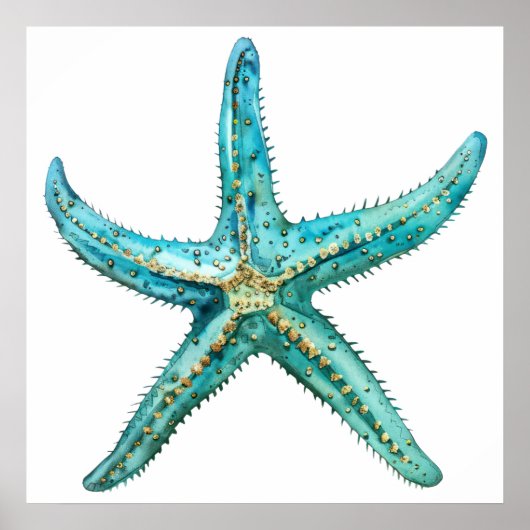Poster Étoile de mer turquoise 24 x 24 (Devant)
