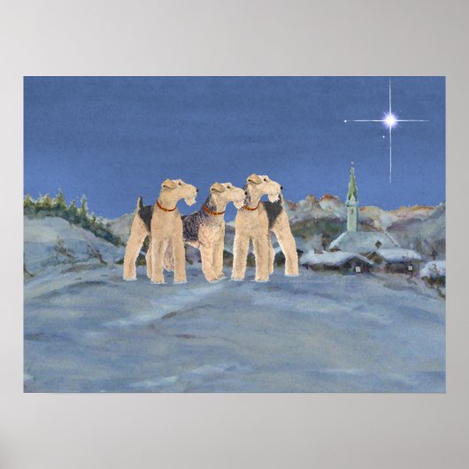 Poster Étoile de Noël (Devant)