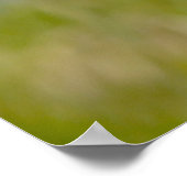 Poster Étoile de tir (Coin)