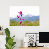 Poster Étoile de tir (Bureau à domicile)