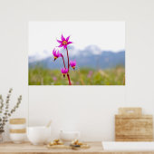 Poster Étoile de tir (Cuisine)