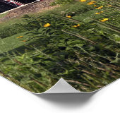 Poster Étoile rouge parfaite (Coin)