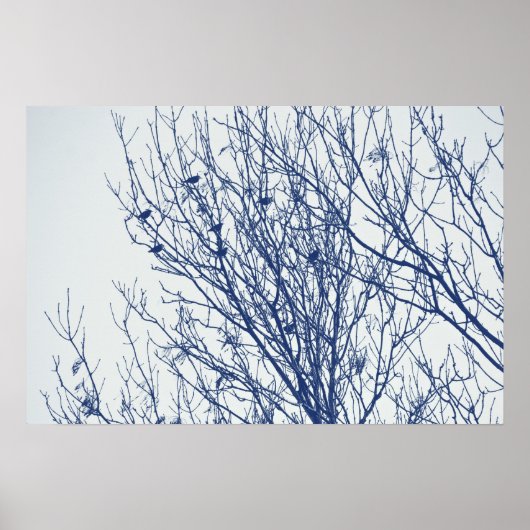 Poster Étoiles dans un arbre - Effet Cyanotype (Devant)