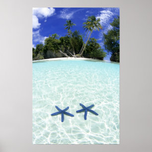 Poster Étoiles de mer, îles rocheuses, Palaos