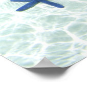 Poster Etoiles de mer, Îles Rocheuses, Palau (Coin)