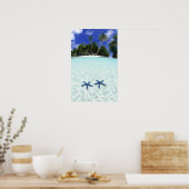 Poster Etoiles de mer, Îles Rocheuses, Palau (Cuisine)