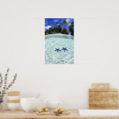 Poster Etoiles de mer, Îles Rocheuses, Palau 2 (Cuisine)