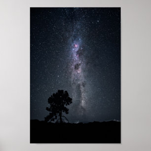 Poster étoiles de voie laiteuse et un arbre