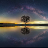 Poster Étoiles en réflexion avec l'eau