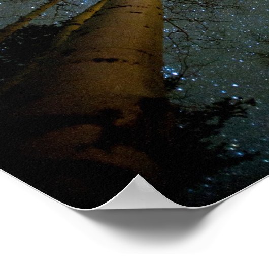 Poster Étoiles et arbres (Coin)