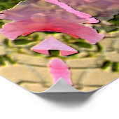 Poster Étoiles roses... (Coin)