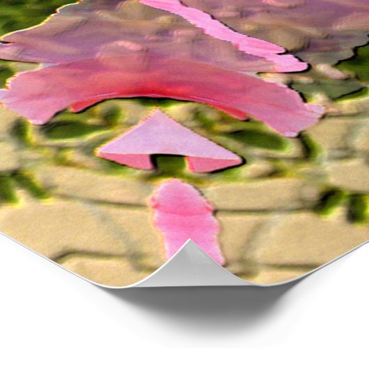 Poster Étoiles roses... (Coin)