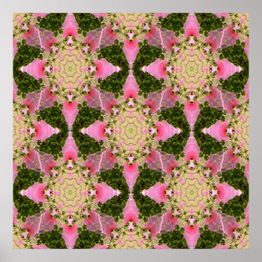 Poster Étoiles roses... (Devant)