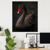 Poster Étonnant cygne noir (Bureau à domicile)