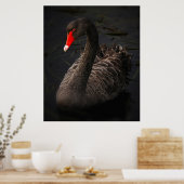 Poster Étonnant cygne noir (Cuisine)