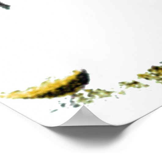 Poster Étouffée (Coin)