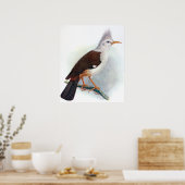 Poster Étourneau Hoopoe vintage (Cuisine)