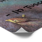 Poster Étrange loi de l'Arizona (Coin)