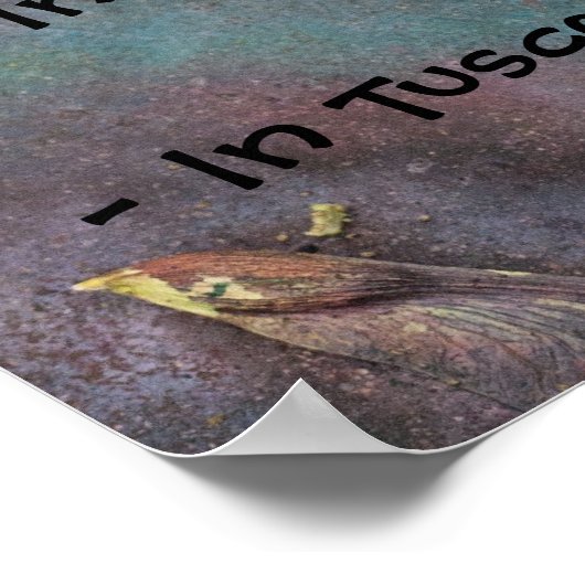 Poster Étrange loi de l'Arizona (Coin)