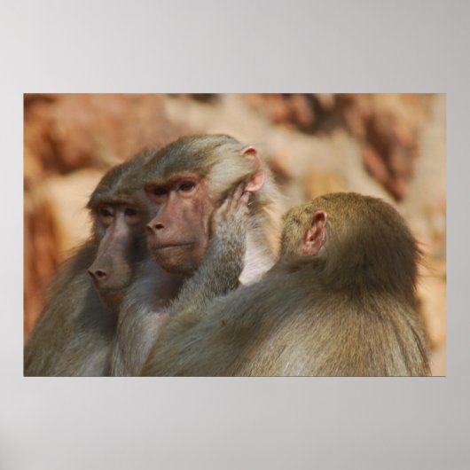 Poster Être attentif les uns aux autres (Devant)