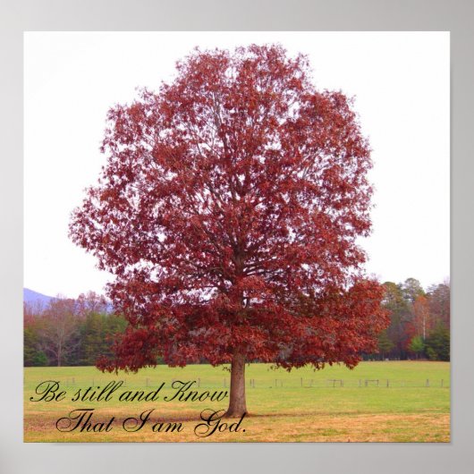 Poster Être encore (Devant)