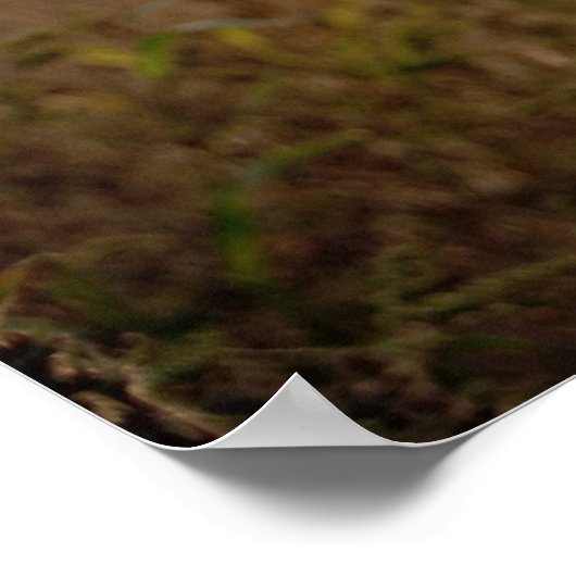 Poster Être génial (Coin)