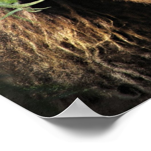 Poster Être l'Onery Mini Filly sous le Willow Tree (Coin)