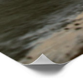 Poster Être une voix pas un écho (Coin)