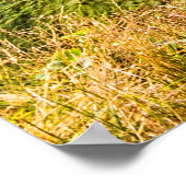 Poster Etretat falaises, Normandie (Coin)