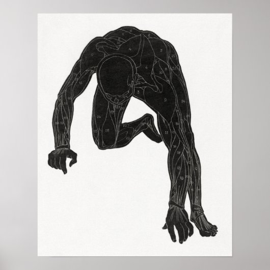 Poster Étude anatomique du cou d'un homme (Devant)