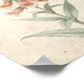 Poster Étude botanique de digitale corail Fleur (Coin)