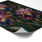 Poster Étude d'art Iris de minuit (Coin)