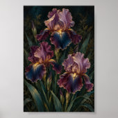 Poster Étude d'art Iris de minuit (Devant)