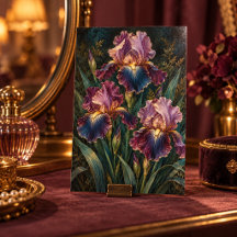 Étude d'art Iris de minuit
