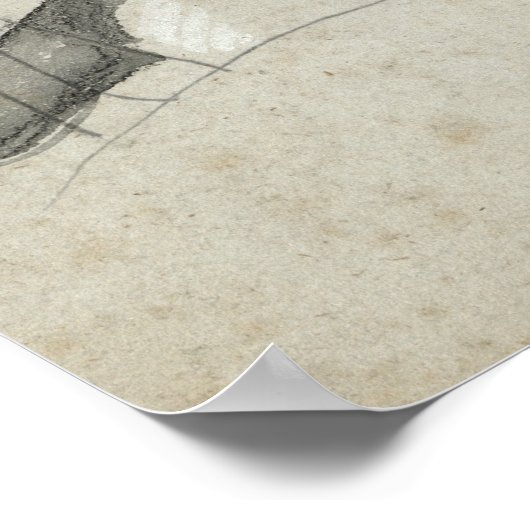 Poster Étude de Ambroise Pare (Coin)