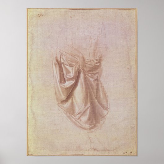 Poster Étude de la draconnerie (Devant)