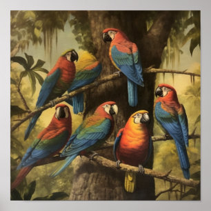 Poster Étude de la faune de l'ara écarlate, botanique de