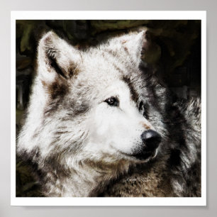 Poster Étude de la tête de loup
