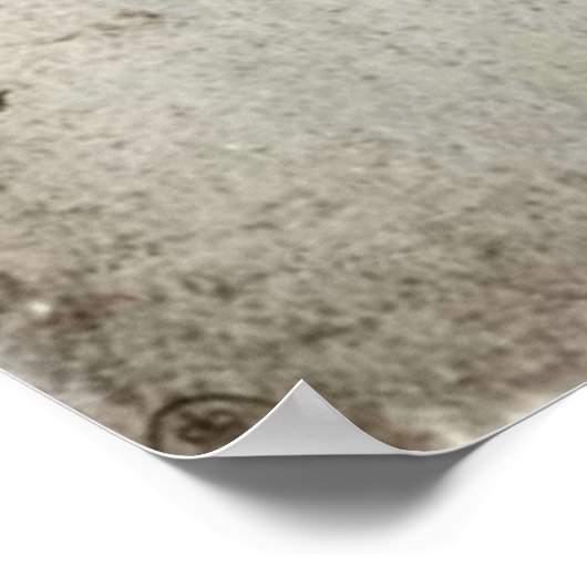 Poster Étude de l'affiche des chevaux (Coin)