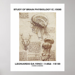 Poster Étude De Physiologie Du Cerveau Leonardo da Vinci