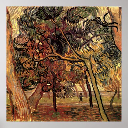 Poster Étude de pins par Vincent van Gogh (Devant)