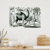 Poster Étude des animaux et des fleurs, gravés (Cuisine)