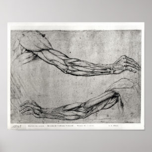 Poster Étude des armes