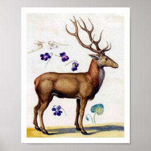Poster Étude des cerfs et des fleurs, Arcimboldo