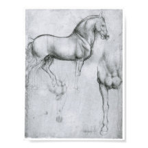 Étude des chevaux, Léonard de Vinci
