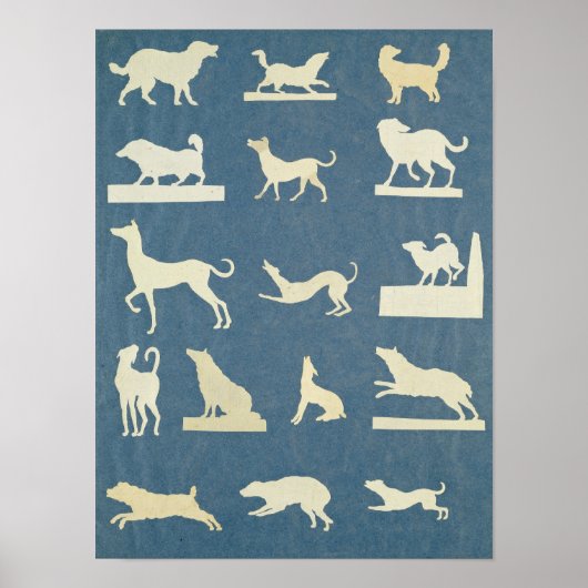 Poster Étude des chiens (Devant)