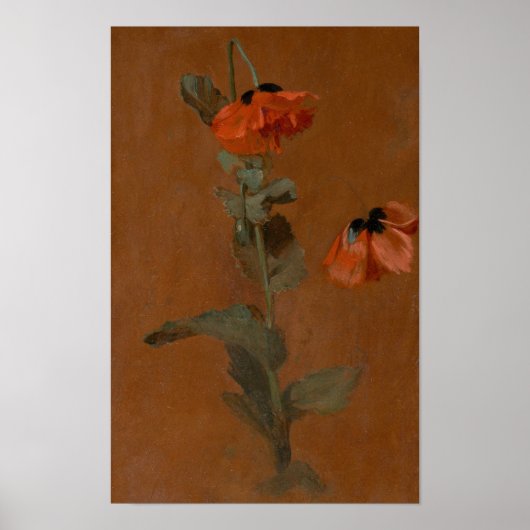 Poster Étude des crapauds - James Inskipp (Devant)