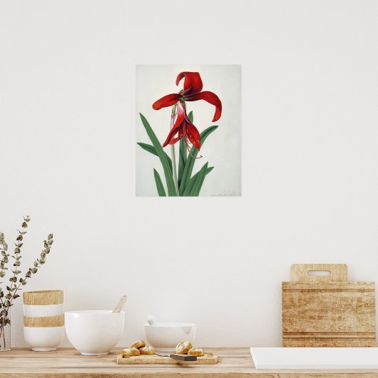 Poster Étude des fleurs, (Cuisine)