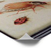 Poster Étude des insectes (Coin)